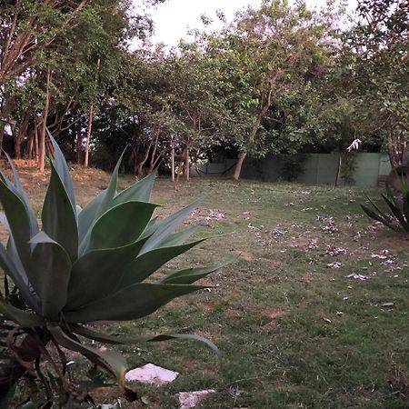 Gerais Loft Apartman São Roque de Minas Kültér fotó