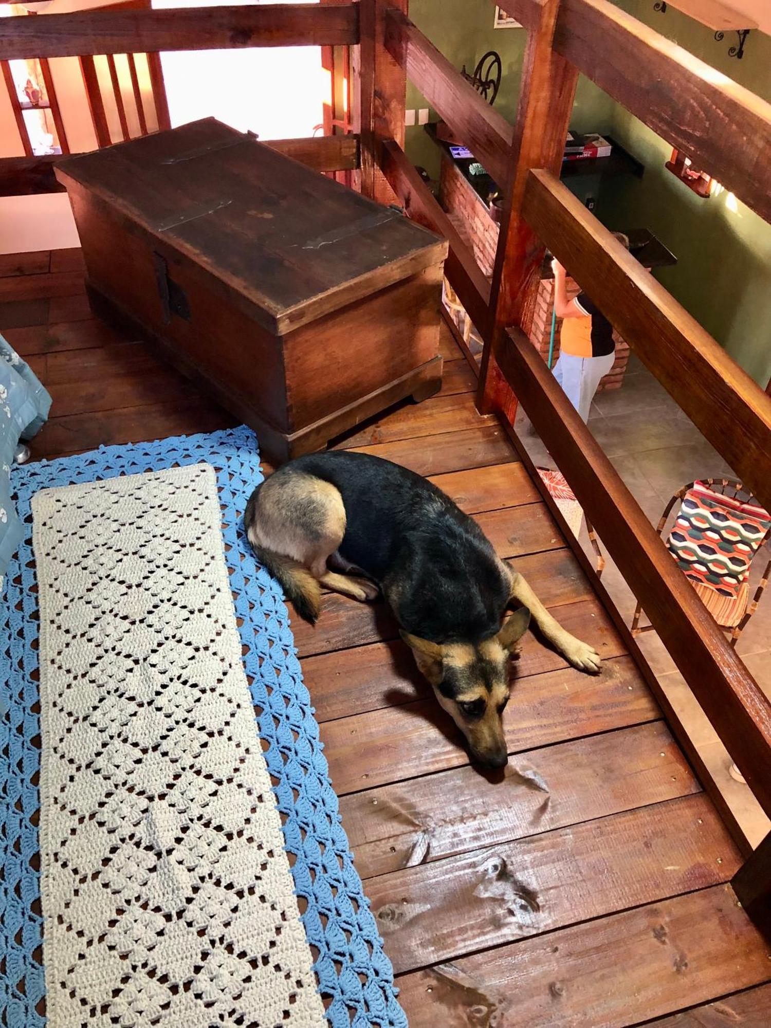 Gerais Loft Apartman São Roque de Minas Kültér fotó